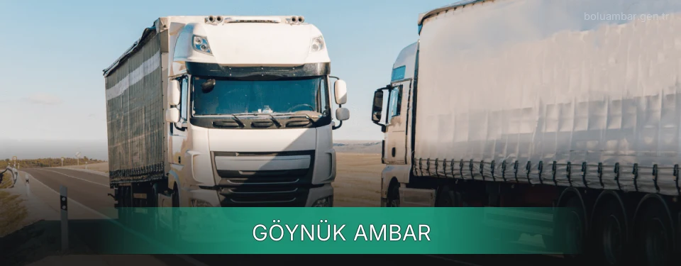 Göynük Ambar